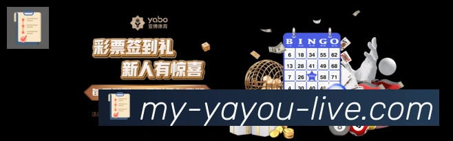 未来规划